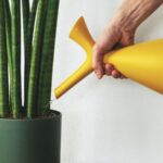 Não jogue fora! 3 utilidades para a casca de melancia que ninguém conta