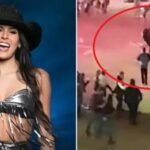 Graciele Lacerda abre o jogo sobre perfil fake e se une à Wanessa em investigação: “A gente está junta”
