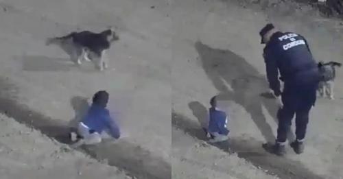 VÍDEO: Bebê de 1 ano foge de casa e é flagrado no meio da rua durante a madrugada; seu cachorro o protegia
