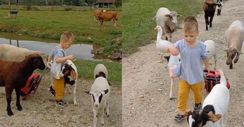VÍDEO: criança viraliza ao chegar da creche e ser recebida pelos amigos animais
