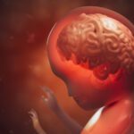Estudo descobre vitamina que é capaz de retardar avanço de câncer de próstata