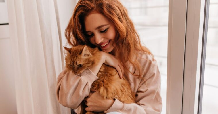 Gatos aliviam estresse de pessoas altamente emocionais