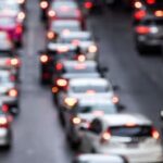 Sucuri grávida: cobra é atropelada em rodovia e dá à luz a 40 filhotes na hora. Veja vídeo