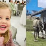 Campanha que fala em “parar Lula” ganha força nas redes