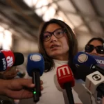 Nove destinos já suspenderam frango do Brasil por gripe aviária