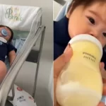 Bebê reborn é arte, hobby ou fuga da realidade? Especialistas explicam