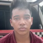 MG descarta preventivamente 450 toneladas de ovos férteis vindos do RS 