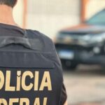Mistério: onça-parda que atacou idoso agricultor ainda não foi encontrada