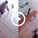 Influenciadora é morta a tiros durante live no TikTok