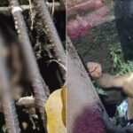 Mortes por doenças cardíacas são associadas a químico encontrado em plásticos