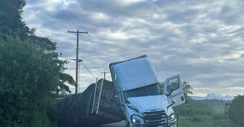 Caminhão tomba e libera 250 milhões de abelhas nos EUA; veja vídeo